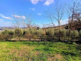 Villa unifamiliare Acquaviva, Orvieto — foto 8 di 58