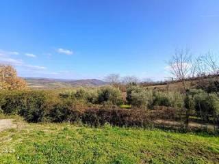 Villa unifamiliare Acquaviva, Orvieto — foto 15 di 58