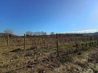 Villa unifamiliare Acquaviva, Orvieto — foto 33 di 58