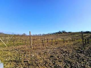 Villa unifamiliare Acquaviva, Orvieto — foto 39 di 58