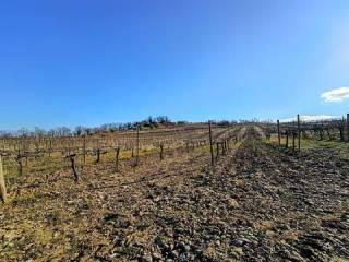 Villa unifamiliare Acquaviva, Orvieto — foto 6 di 58