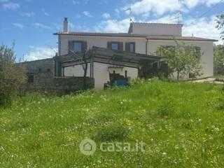 Casale via Rimembranze 8, Centro, Amelia — foto 10 di 27