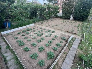 Terratetto unifamiliare via BELVEDERE 11, Centro, Lomazzo — foto 43 di 61