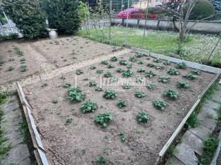 Terratetto unifamiliare via BELVEDERE 11, Centro, Lomazzo — foto 13 di 61