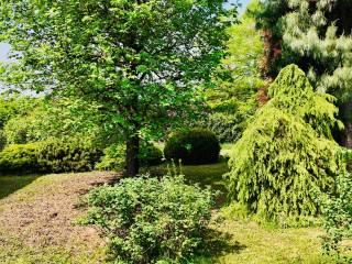 Villa unifamiliare via Giosuè Carducci 20A, Verano Brianza — foto 18 di 197