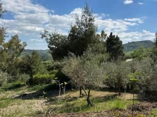 Villa unifamiliare Chiusa Santa Lucia, Nicosia — foto 10 di 12