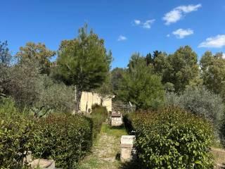 Villa unifamiliare Chiusa Santa Lucia, Nicosia — foto 12 di 12