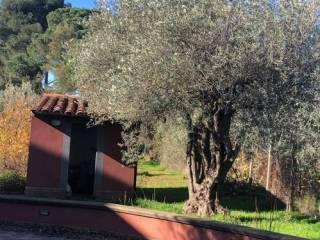 Villa unifamiliare, buono stato, 1000 m², Centro, Caltanissetta — foto 9 di 20