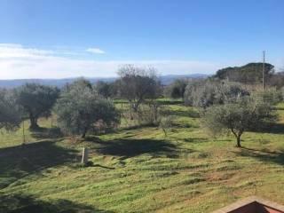 Villa unifamiliare, buono stato, 1000 m², Centro, Caltanissetta — foto 10 di 20