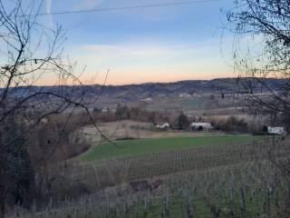 Rustico via Camillo Benso di Cavour, Centro, Loazzolo — foto 19 di 26