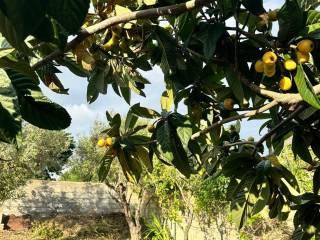 Terratetto unifamiliare 130 m², buono stato, Cabras — foto 6 di 13
