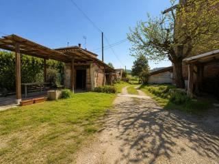 Cascina Borgata Vascagliana 2, San Damiano d'Asti — foto 10 di 20