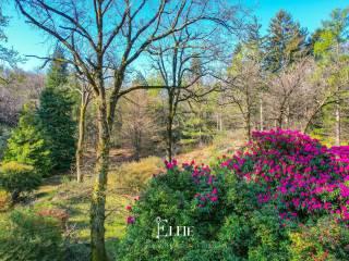 Villa unifamiliare via Resiga, Bracchio, Mergozzo — foto 13 di 45