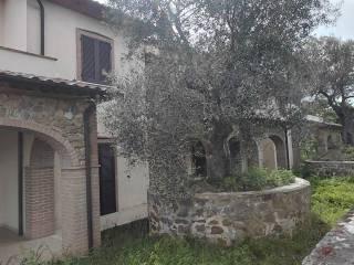Appartamento ottimo stato, Montemerano, Manciano — foto 3 di 20