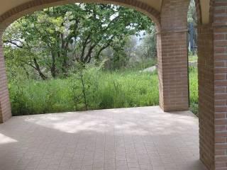 Appartamento ottimo stato, Montemerano, Manciano — foto 39 di 40
