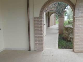 Appartamento ottimo stato, Montemerano, Manciano — foto 32 di 40