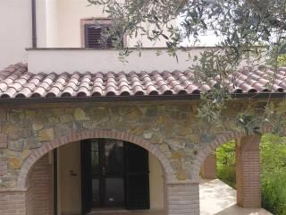 Appartamento ottimo stato, Montemerano, Manciano — foto 5 di 40
