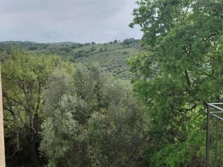 Appartamento ottimo stato, Montemerano, Manciano — foto 35 di 40