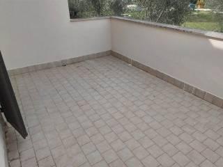 Appartamento ottimo stato, Montemerano, Manciano — foto 38 di 40