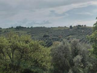 Appartamento ottimo stato, Montemerano, Manciano — foto 16 di 40