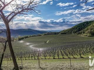 Villa unifamiliare via San Lorenzo, Val Liona — foto 7 di 30
