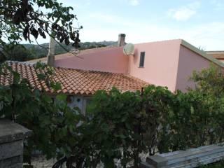Casa colonica Loc. San Biagio aglientu, Aglientu — foto 25 di 35