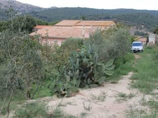 Casa colonica Loc. San Biagio aglientu, Aglientu — foto 23 di 35