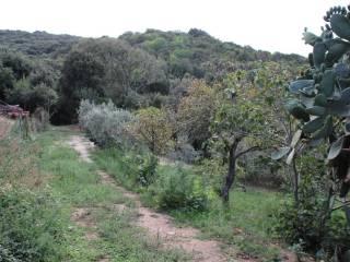 Casa colonica Loc. San Biagio aglientu, Aglientu — foto 11 di 35