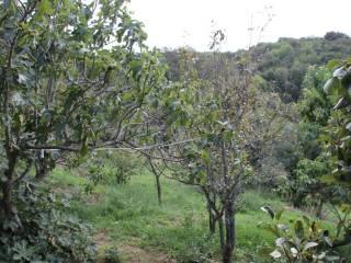 Casa colonica Loc. San Biagio aglientu, Aglientu — foto 14 di 35
