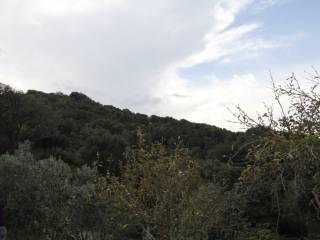 Casa colonica Loc. San Biagio aglientu, Aglientu — foto 18 di 35