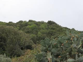 Casa colonica Loc. San Biagio aglientu, Aglientu — foto 34 di 35