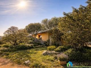 Casale via Stazzu su Palazzu, San Giovanni, Sole Ruiu, Olbia — foto 27 di 37