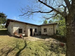 Casale via degli Ulivi, Tarano — foto 29 di 34