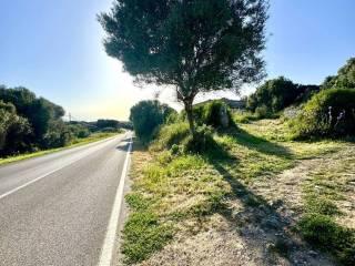 Terratetto unifamiliare Strada Provinciale 57, Stintino — foto 14 di 21