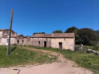 Casale Sp35, Bortigiadas