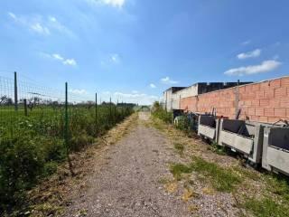 Rustico Contrada Cruste, Lucera — foto 4 di 16