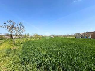 Rustico Contrada Cruste, Lucera — foto 12 di 16