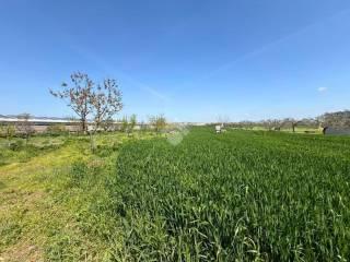 Rustico Contrada Cruste, Lucera — foto 7 di 16
