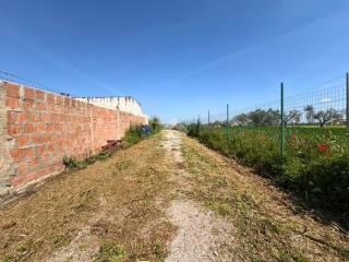 Rustico Contrada Cruste, Lucera — foto 11 di 16