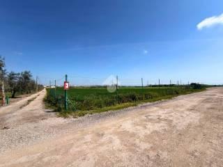 Rustico Contrada Cruste, Lucera — foto 2 di 16