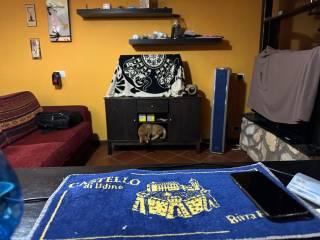 Trilocale via Antonio Gramsci 4, Stimigliano Scalo, Stimigliano — foto 12 di 18