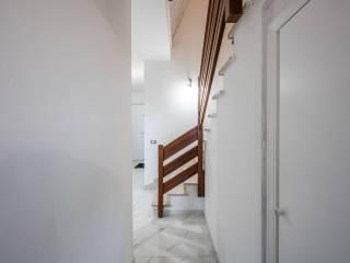 Villa unifamiliare via Tassoni 19, San Lorenzo Della Pioppa, San Prospero — foto 9 di 35