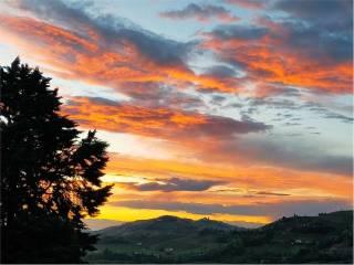 Villa unifamiliare, buono stato, 550 m², Canelli — foto 5 di 49