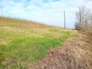 Villa unifamiliare Strada Val Calosso, 10, Calosso — foto 5 di 15