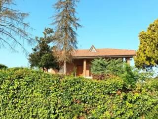 Villa unifamiliare Strada Lazzaretto, 19, Costigliole d'Asti — foto 7 di 43