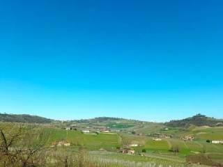 Villa unifamiliare Strada Carlina, 7, Costigliole d'Asti — foto 23 di 31