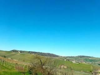 Villa unifamiliare Strada Carlina, 7, Costigliole d'Asti — foto 9 di 31