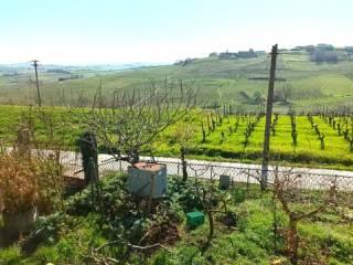 Villa unifamiliare Strada Carlina, 7, Costigliole d'Asti — foto 4 di 31