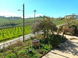 Villa unifamiliare Strada Carlina, 7, Costigliole d'Asti — foto 27 di 31