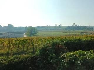 Villa unifamiliare Strada Lazzaretto, 19, Costigliole d'Asti — foto 17 di 43